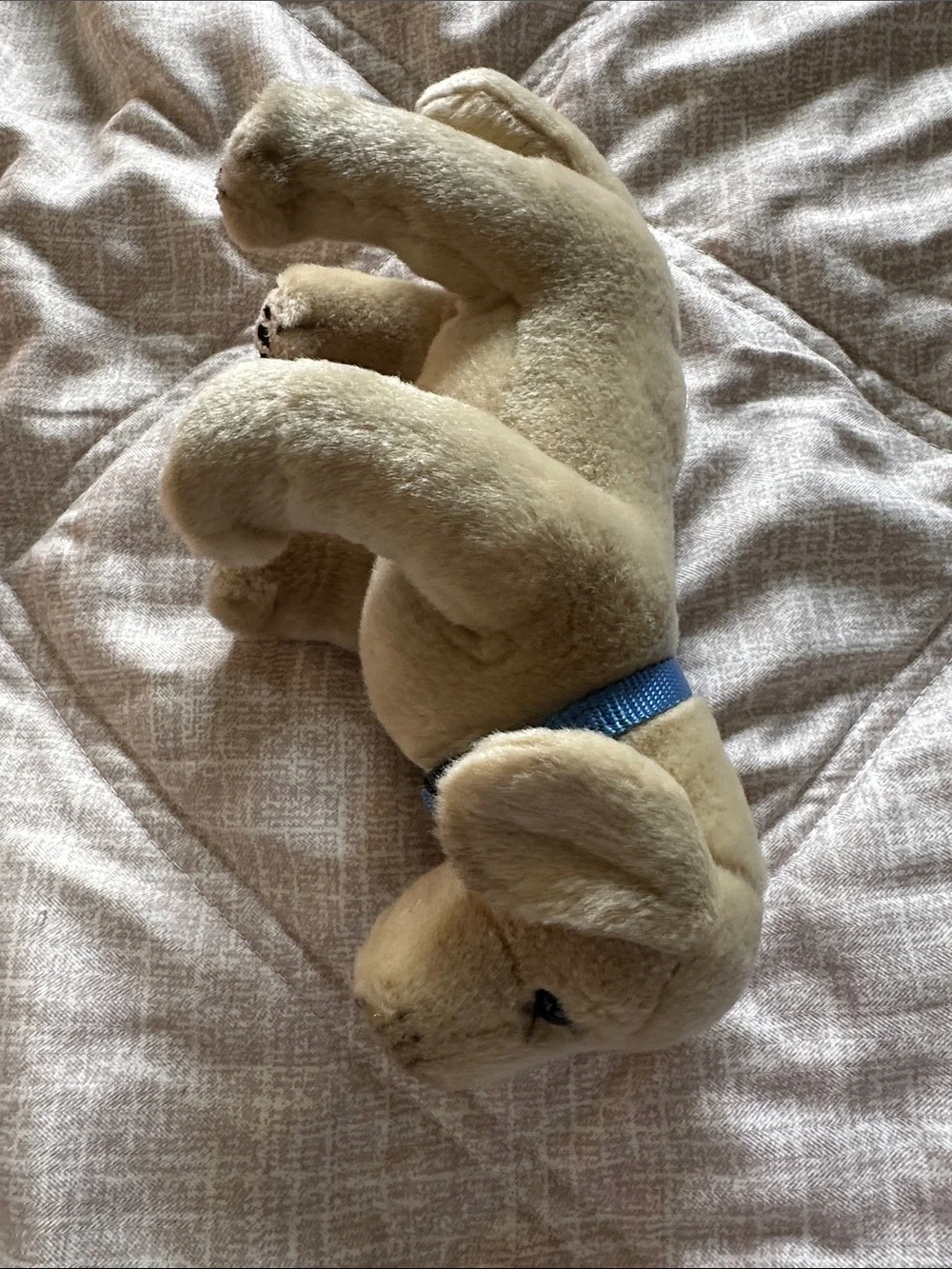 Plush Cream Puppy Stuffed Animal with Blue Collar